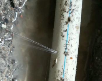 红桥卫生间测漏水多少钱