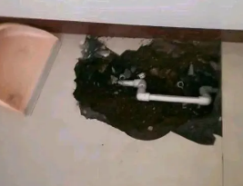 红桥卫生间测漏水多少钱